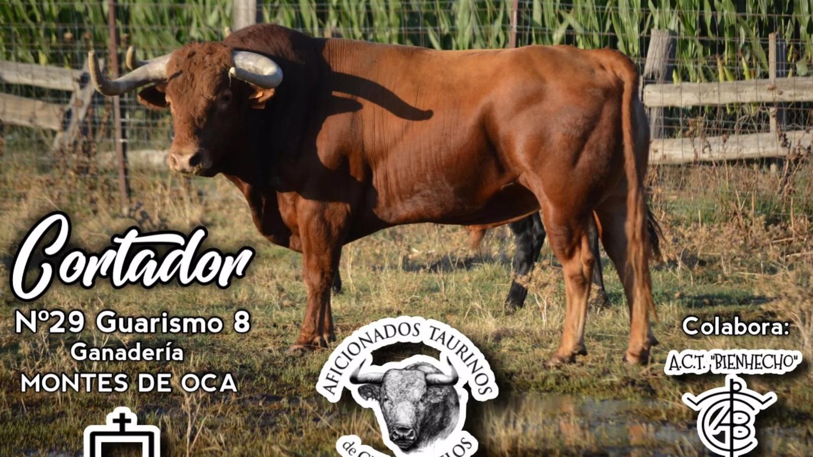 Pacma pide a la Comunidad que prohíba el I Toro al Cajón de Ciempozuelos