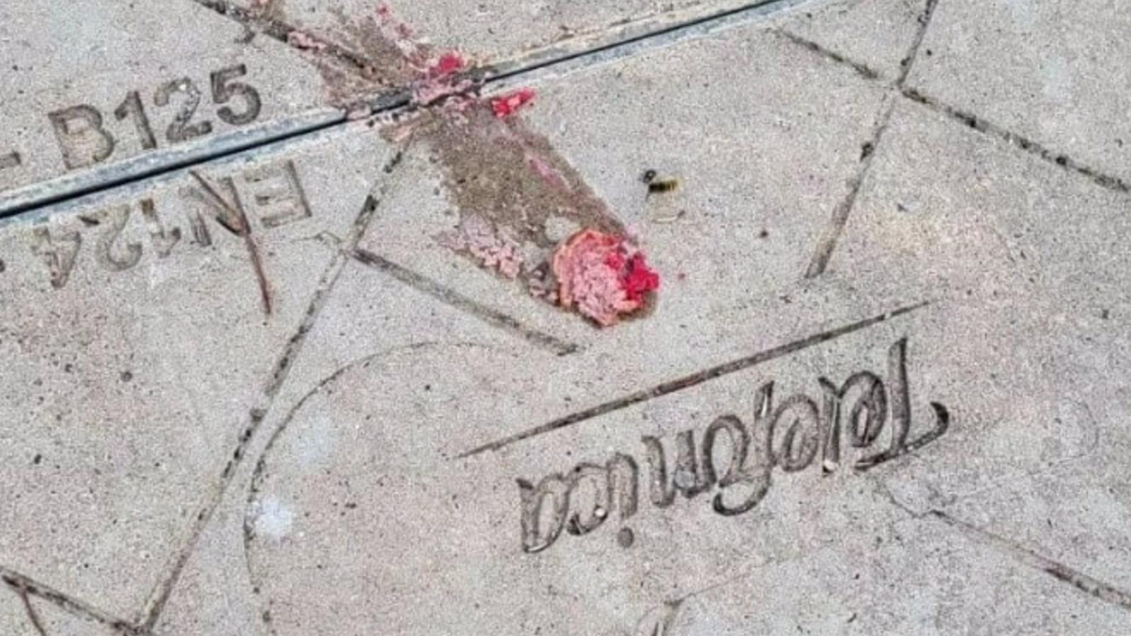 Denuncian que arrojan salchichas envenenadas para perros en calles de urbanizaciones del norte de la región