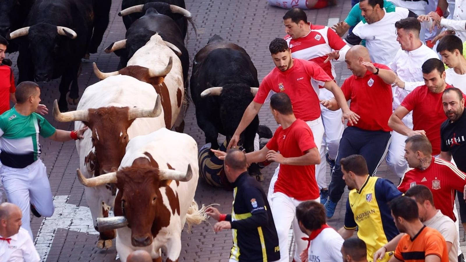 Los últimos dos encierros de San Sebastián de los Reyes dejan 13 heridos, uno por asta de toro