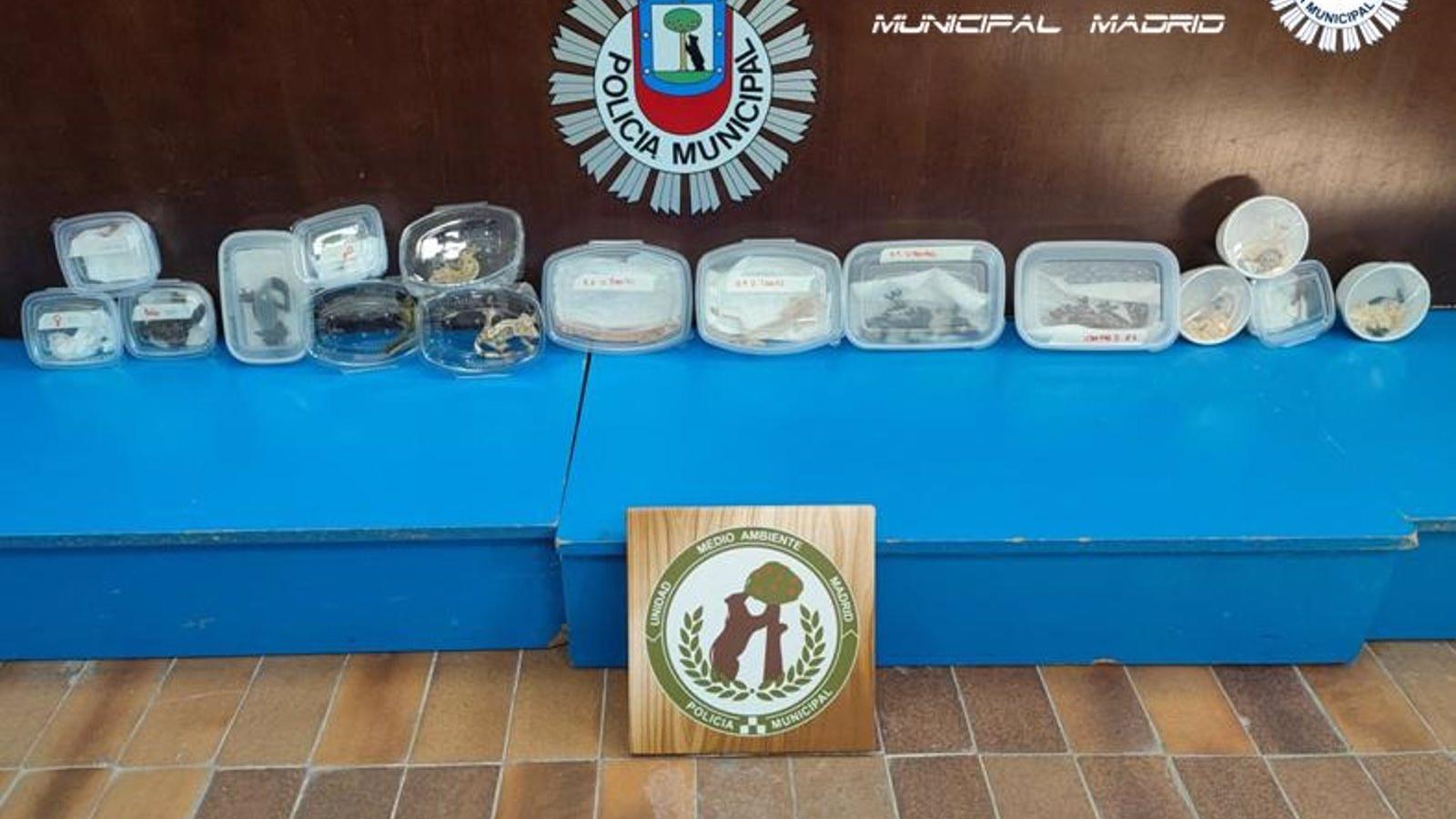 Decomisados 19 ejemplares de animales que estaban a la venta en tupperwares en un parking junto a Expotierra