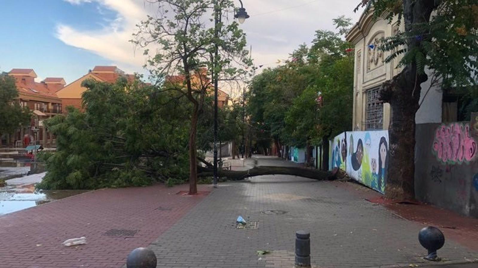 La regidora de Ciempozuelos confirma que las viviendas afectadas por la tormenta no presentan daños estructurales