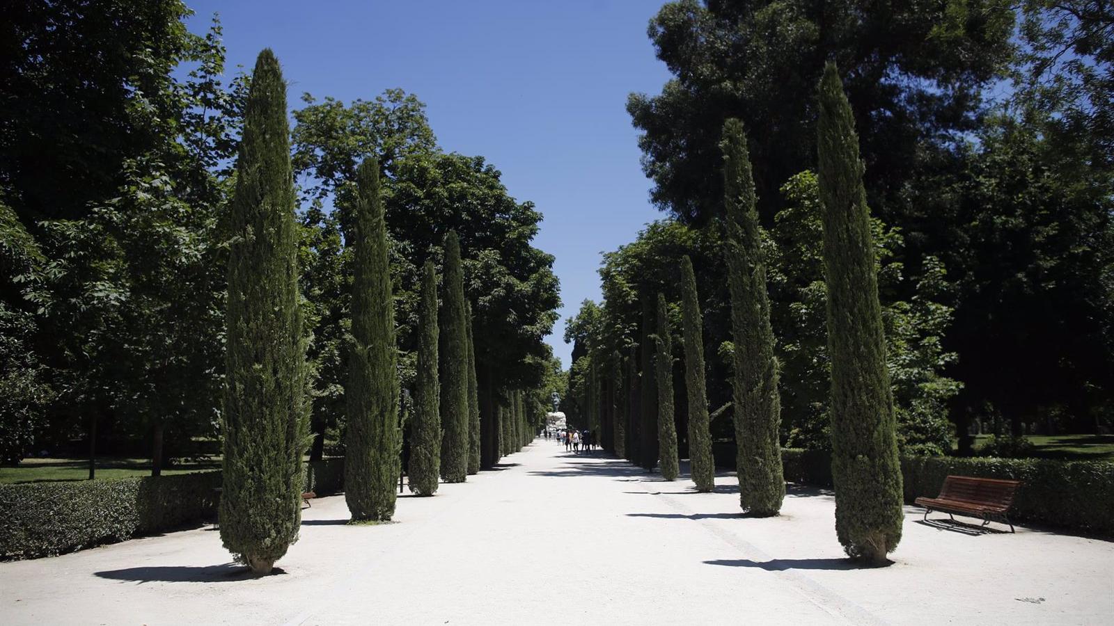 Un total de 182 cipreses conforman en el cementerio el Jardín del Recuerdo en Torrejón, donde se podrán depositar cenizas