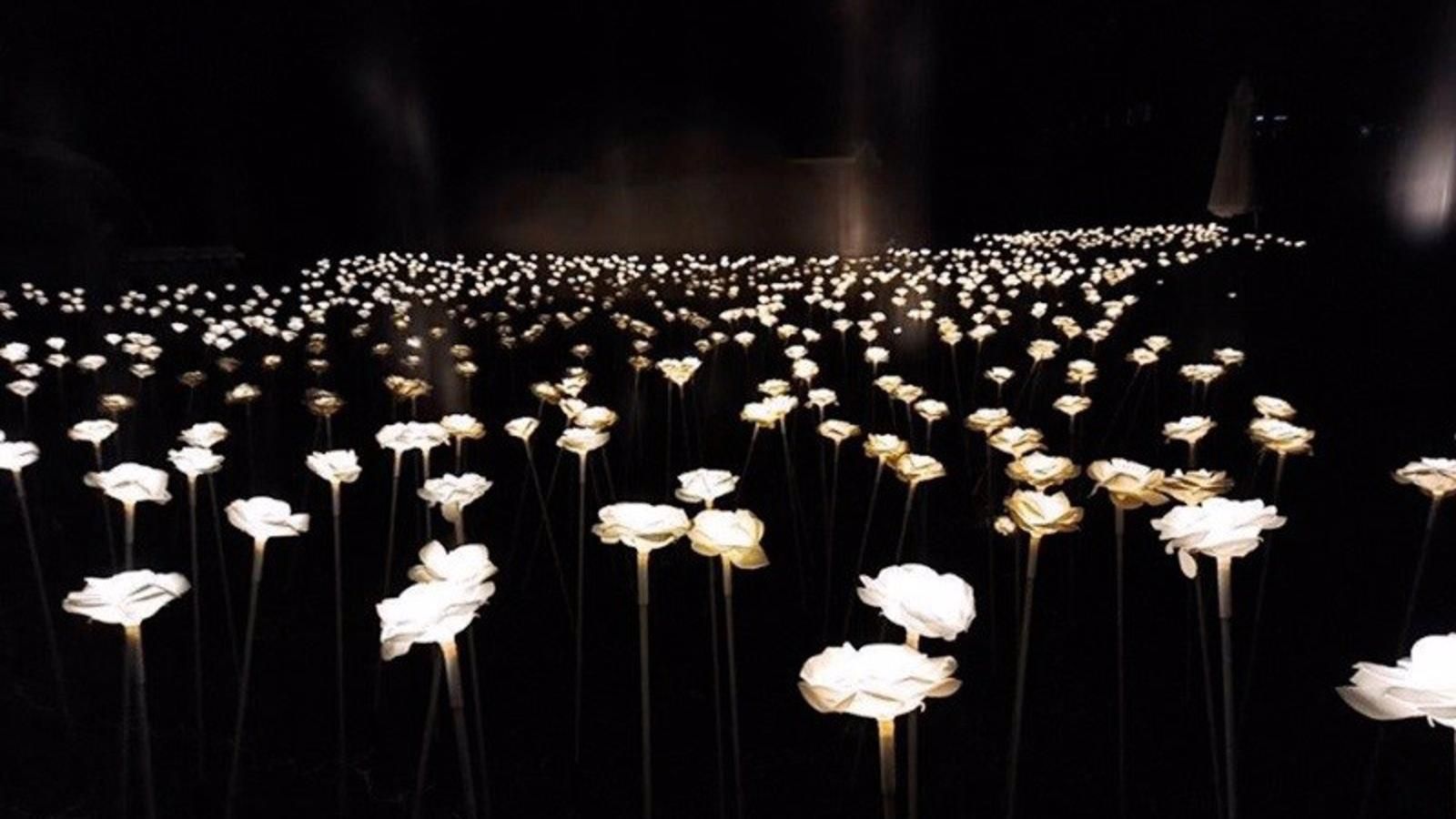 El Museo de Arte en Vidrio de Alcorcón celebra su 25 aniversario con un "innovador recorrido visual"