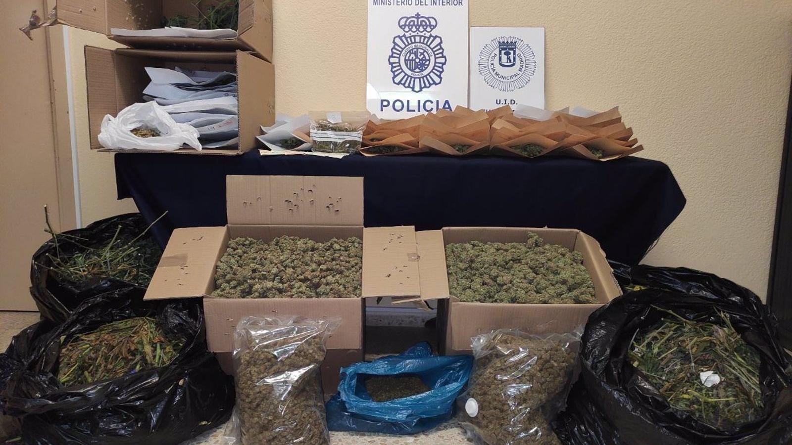 Cuatro detenidos y desmantelada una plantación indoor de marihuana en el distrito de Fuencarral Cuatro detenidos y desmantelada una plantación indoor de marihuana en el distrito de Fuencarral