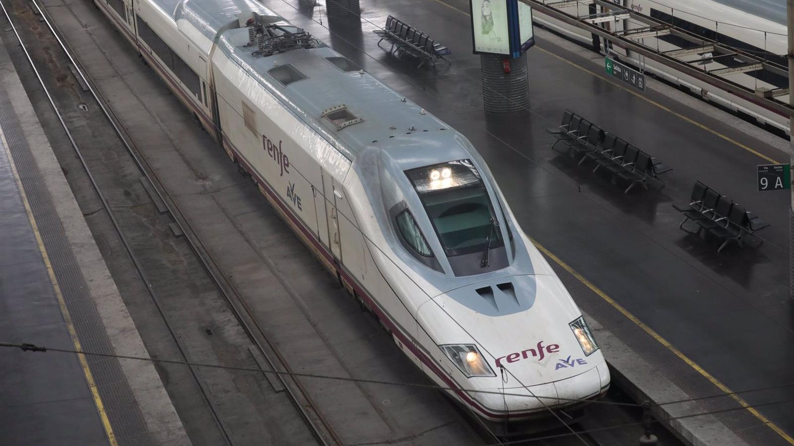 Once jóvenes de despedida de soltero a bordo de un AVE Madrid-Málaga condenados a pagar a Renfe 7.676 euros por retrasar el tren