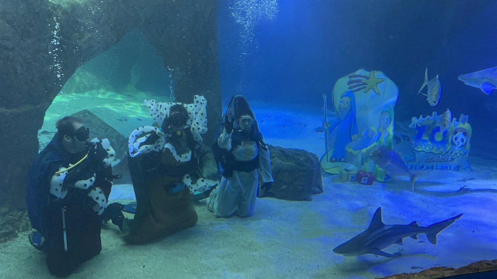 El tradicional Belén de tiburones inaugura en el Zoo de Madrid la Navidad