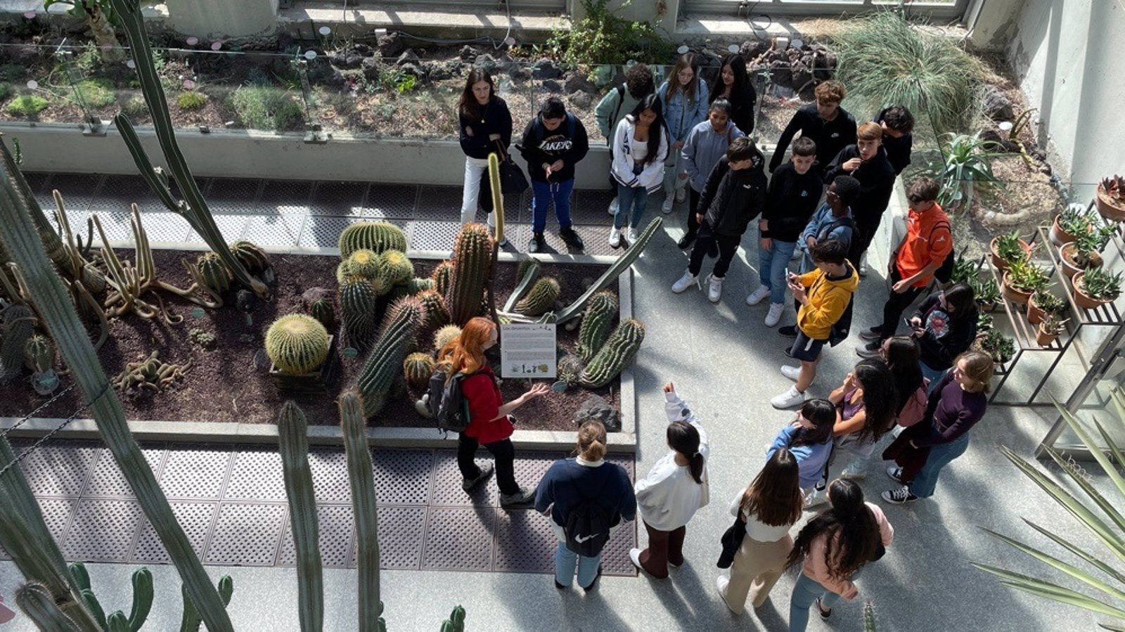 El Real Jardín Botánico superó en 2022 los 485.000 visitantes