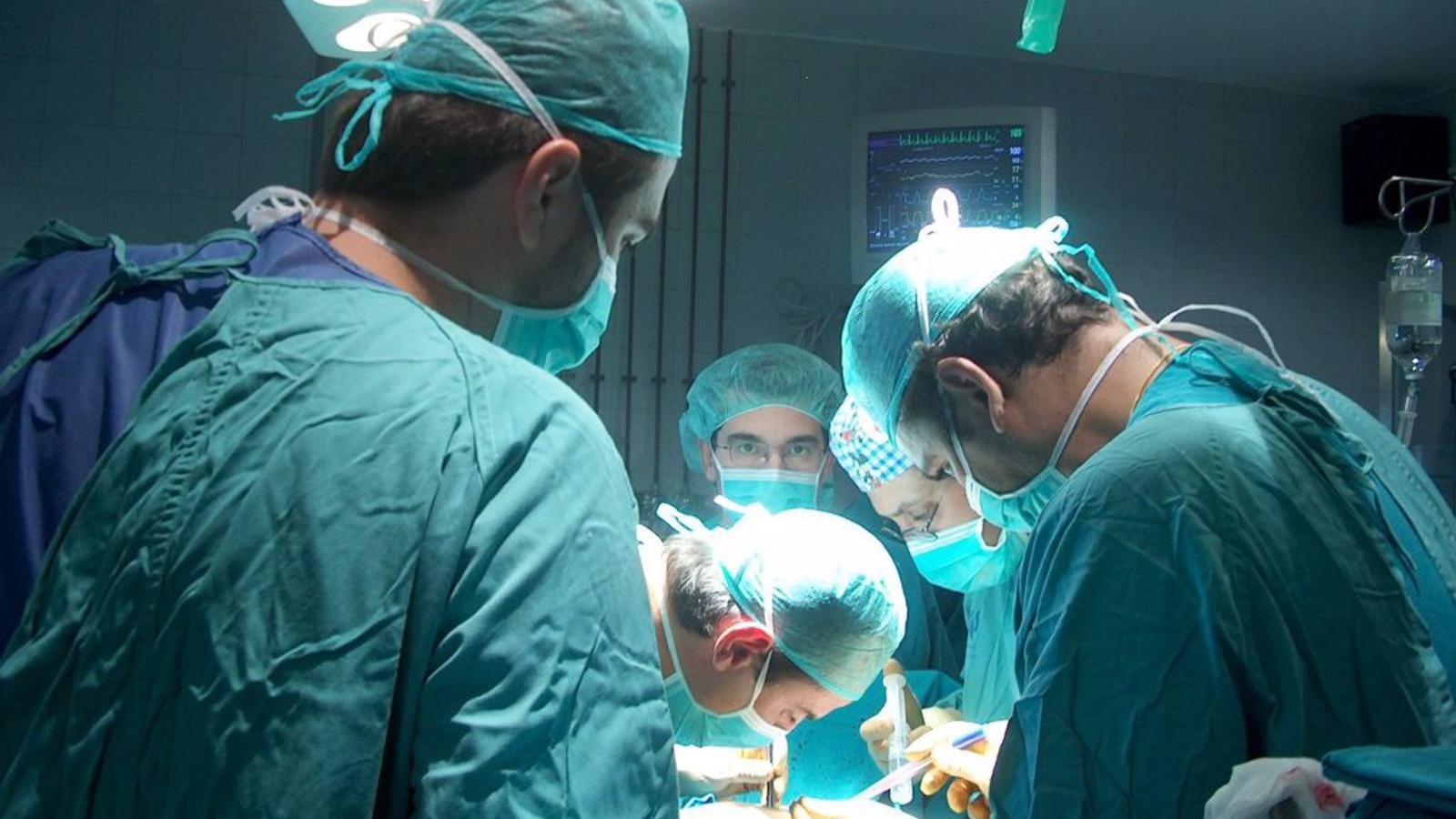España realizó 5.383 trasplantes en 2022, un 13% más que en 2021, y recupera cifras prepandemia, según la ONT