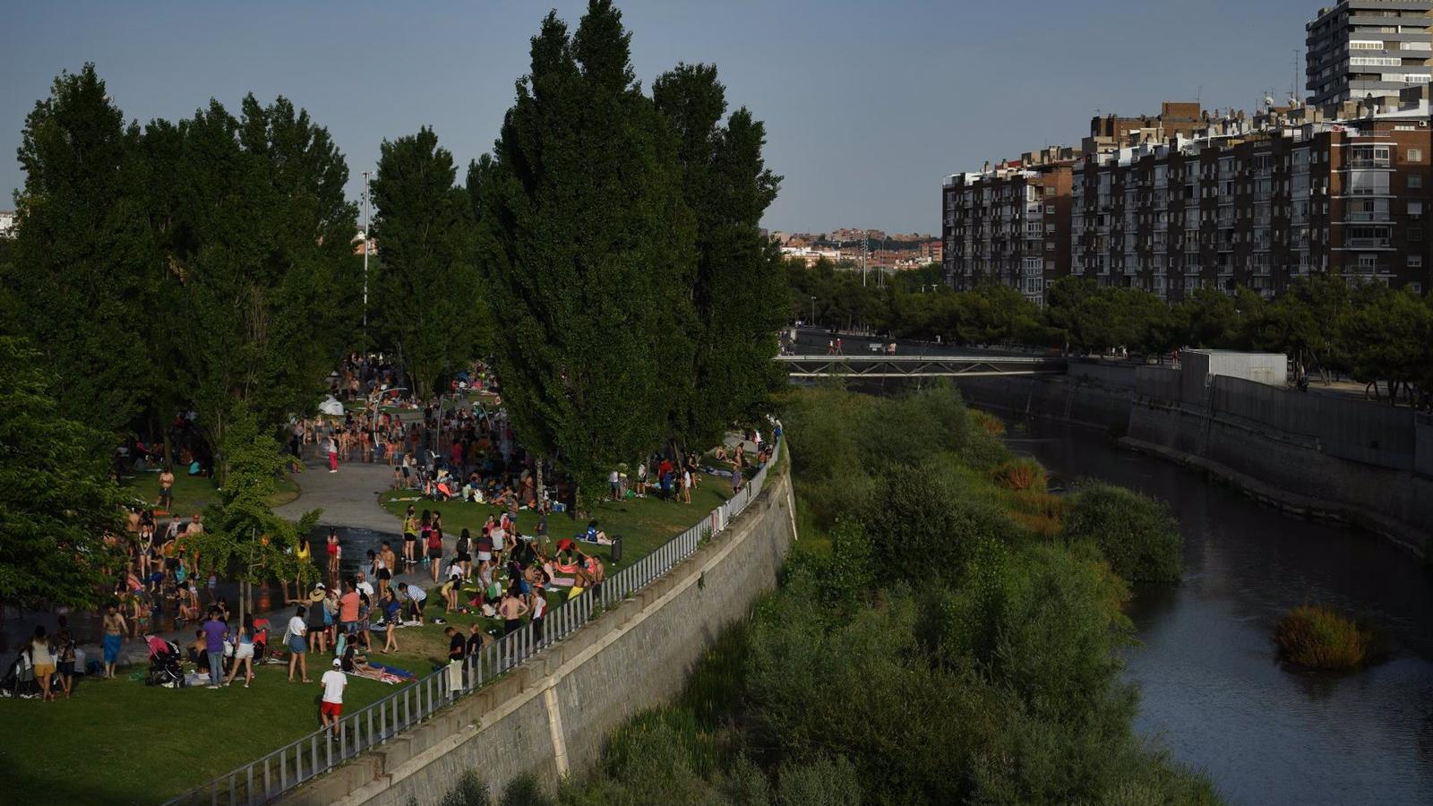 1.027 árboles serán talados por la ampliación de la Línea 11 de Metro y se compensará plantando 19.513 ejemplares
