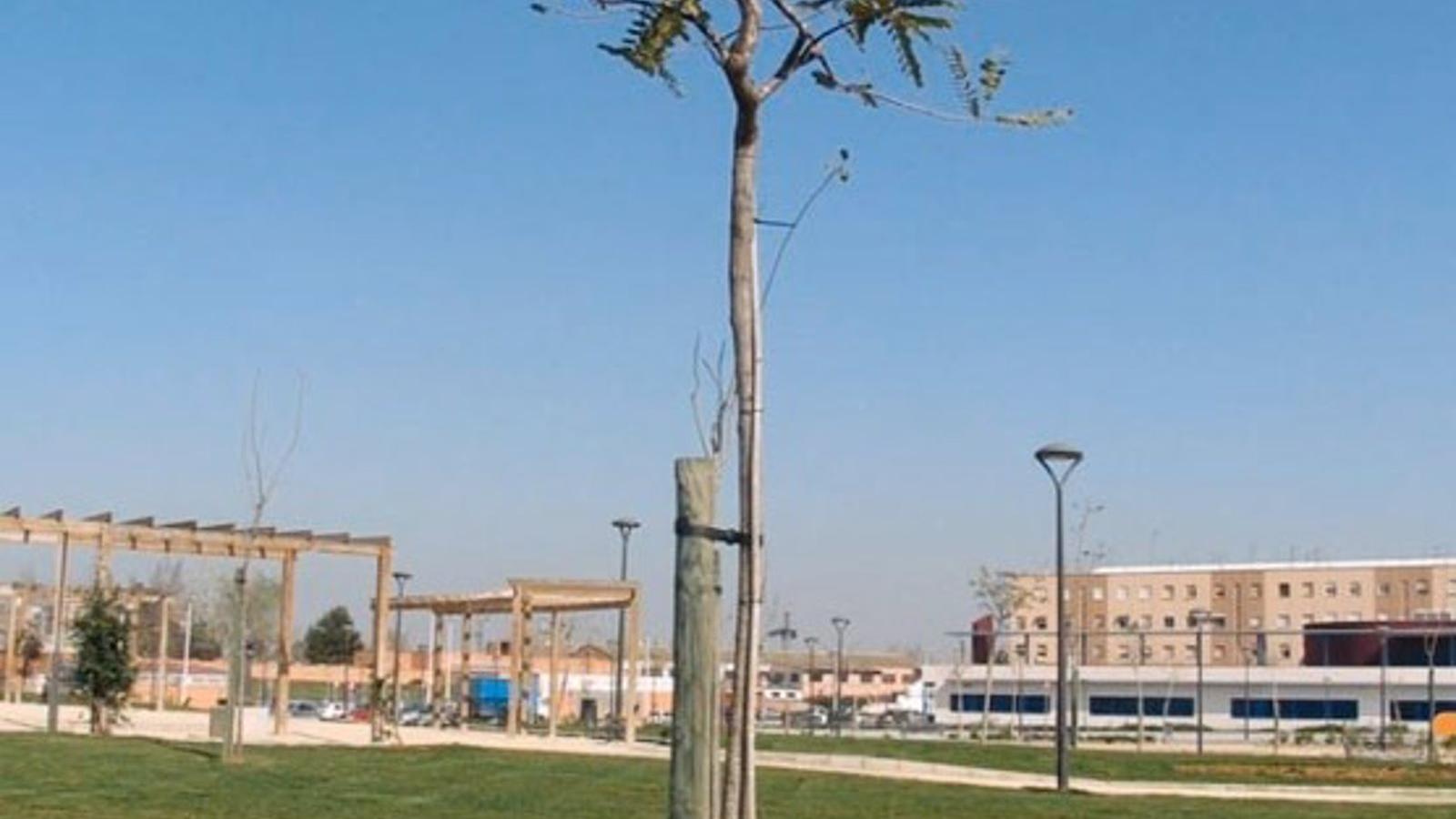 La Policía Local de Alcorcón pide colaboración ciudadana tras la desaparición de tutores en árboles recién plantados