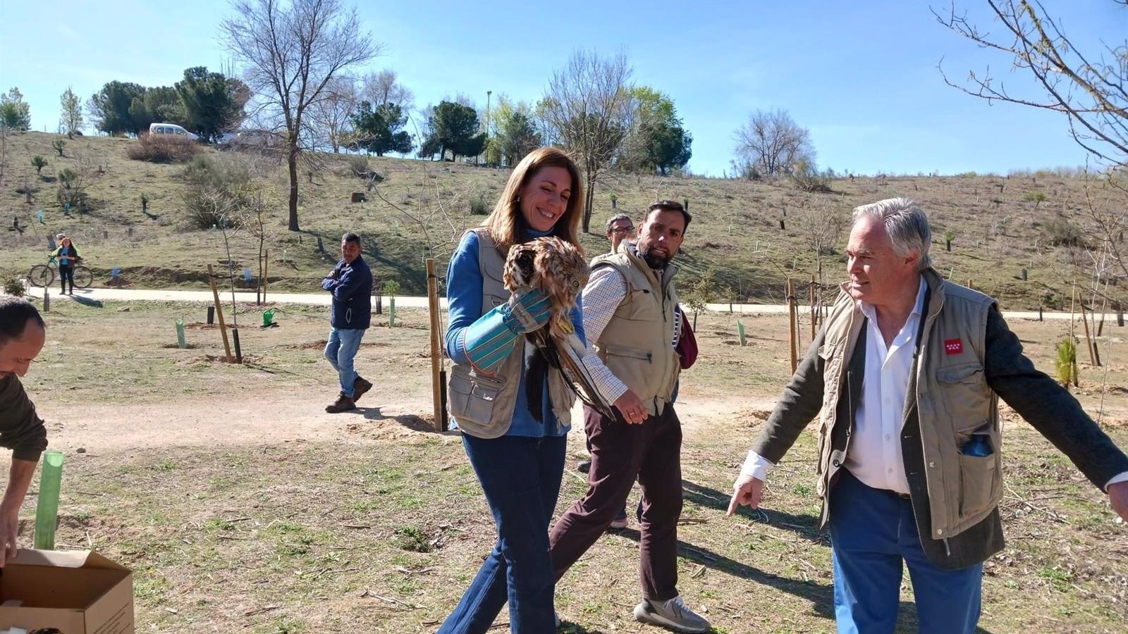 La Comunidad de Madrid acondiciona los arroyos Meaques y Valchico en Pozuelo