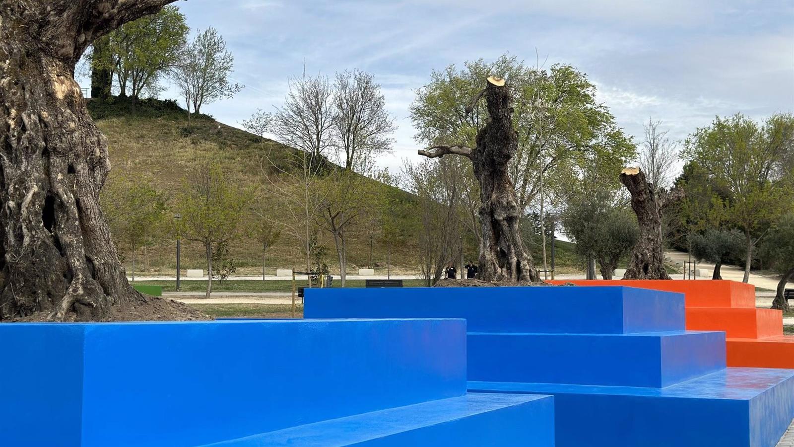 Olivos y 19 pirámides homenajean el vínculo Iberoamericano en el nuevo jardín del parque Juan Carlos I