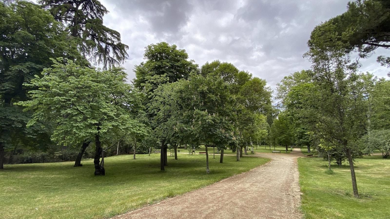 Un gran parque y un camino con bancos y mesas de ajedrez renaturalizarán el Barrio del Aeropuerto
