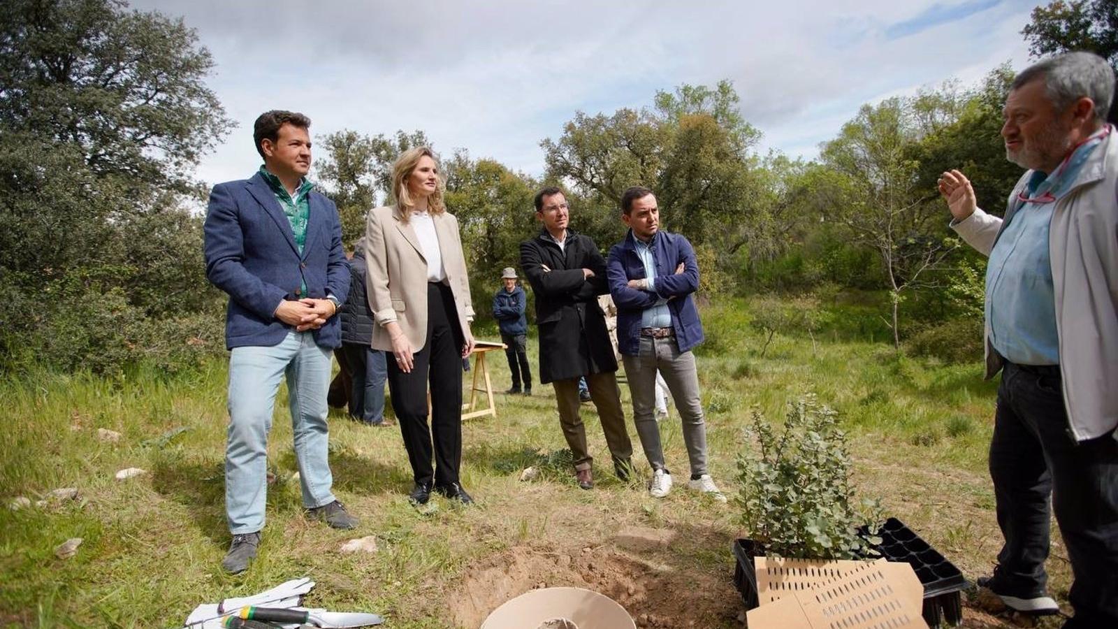 Aprobado el Catálogo de Árboles y Arboledas de Interés Municipal en Las Rozas