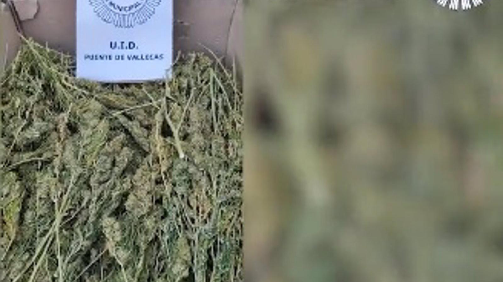 Descubren dos cajas con 50 kilos de marihuana abandonadas en una calle de Vallecas