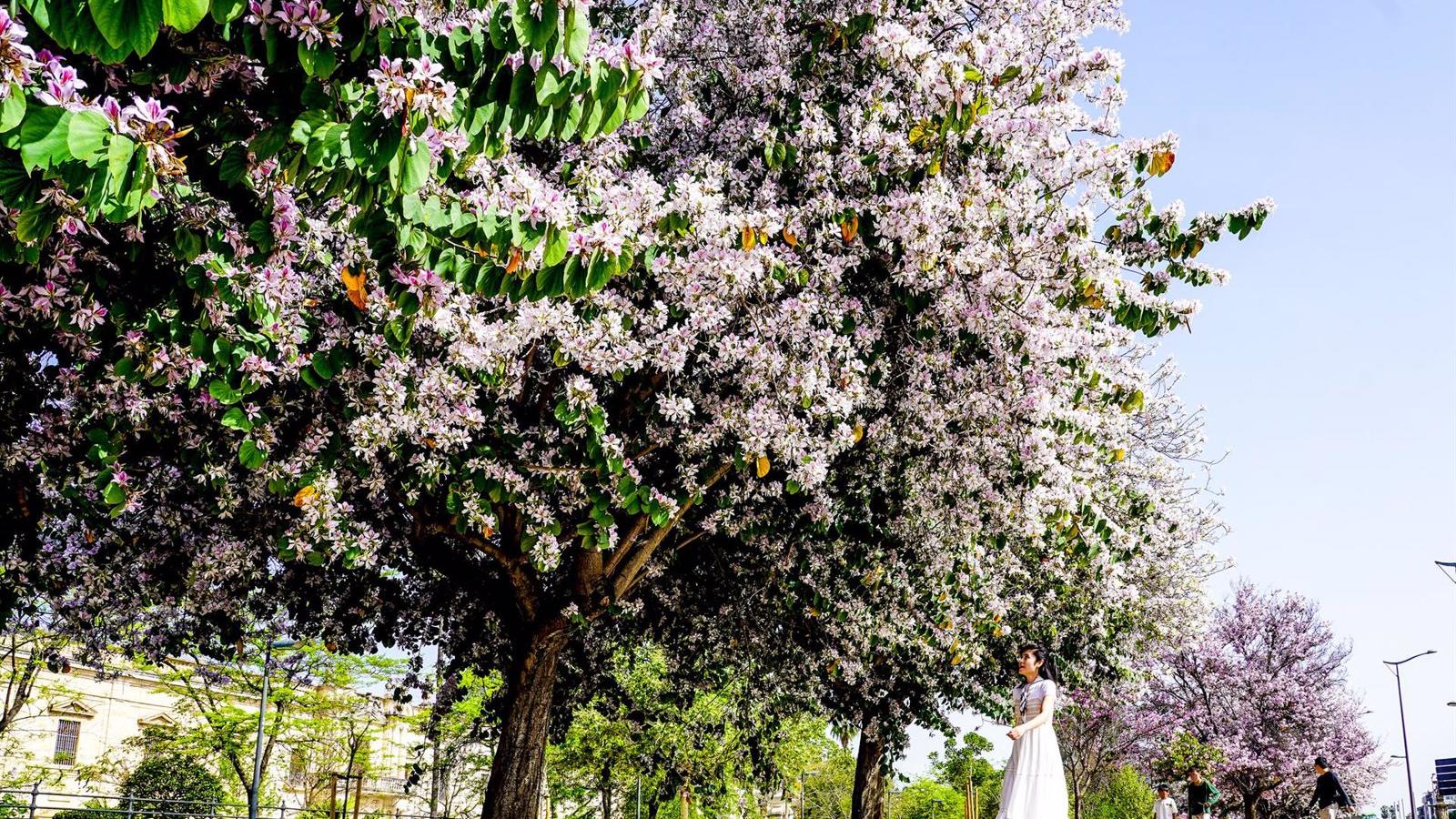 Torrejón se reforesta con 12.557 árboles nuevos en los cuatro últimos años