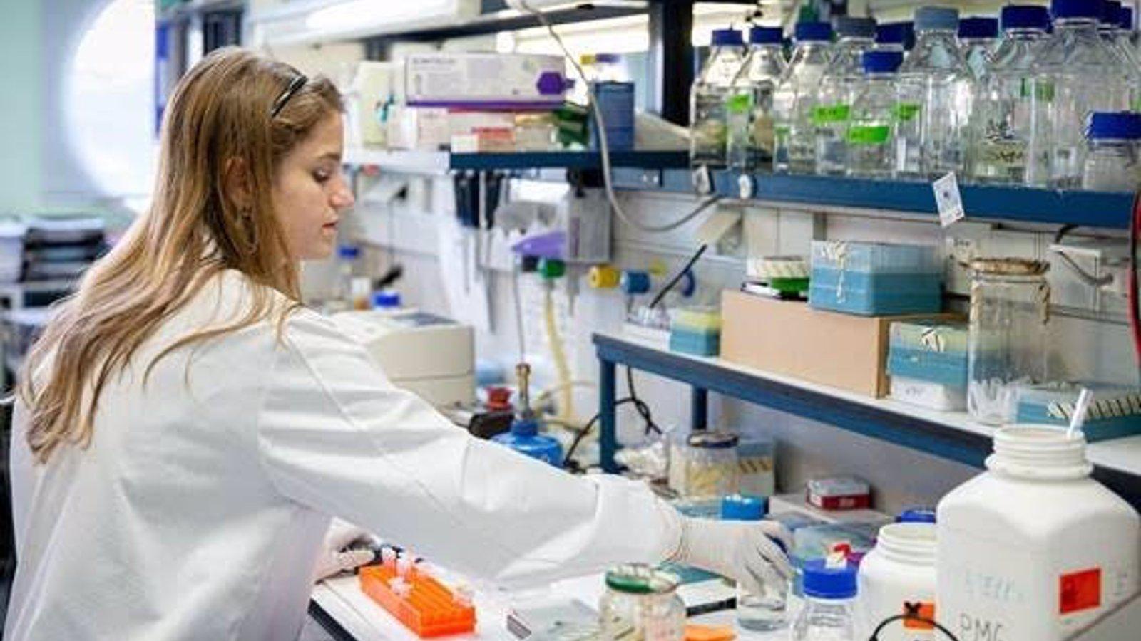 Luz verde a 32 millones en ayudas a las universidades públicas para el fomento a la investigación