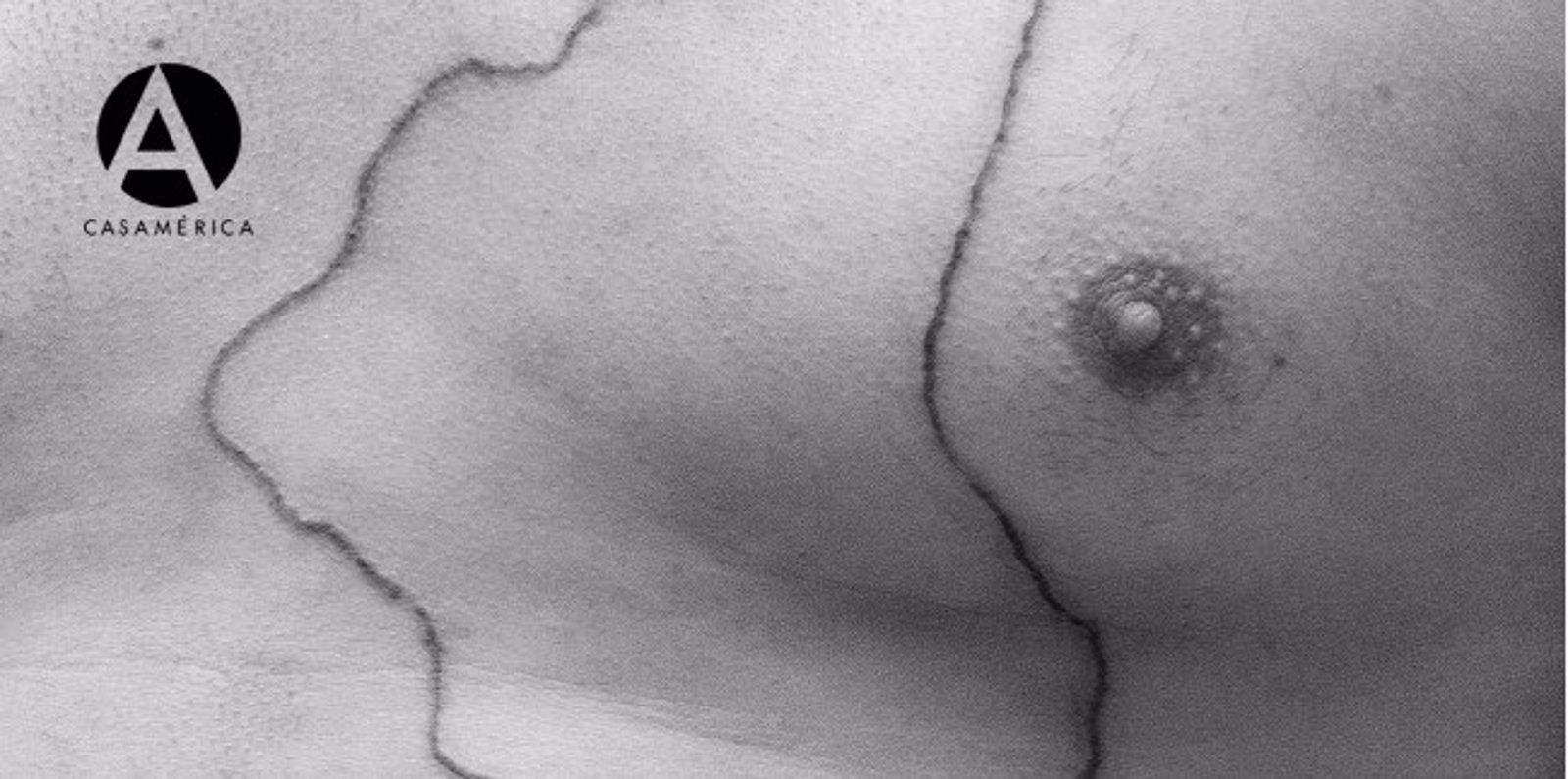 El Museo Thyssen y Casa de América se unen en el ciclo 'Visión y presencia' para visibilizar a mujeres creadoras hasta el 13 de diciembre