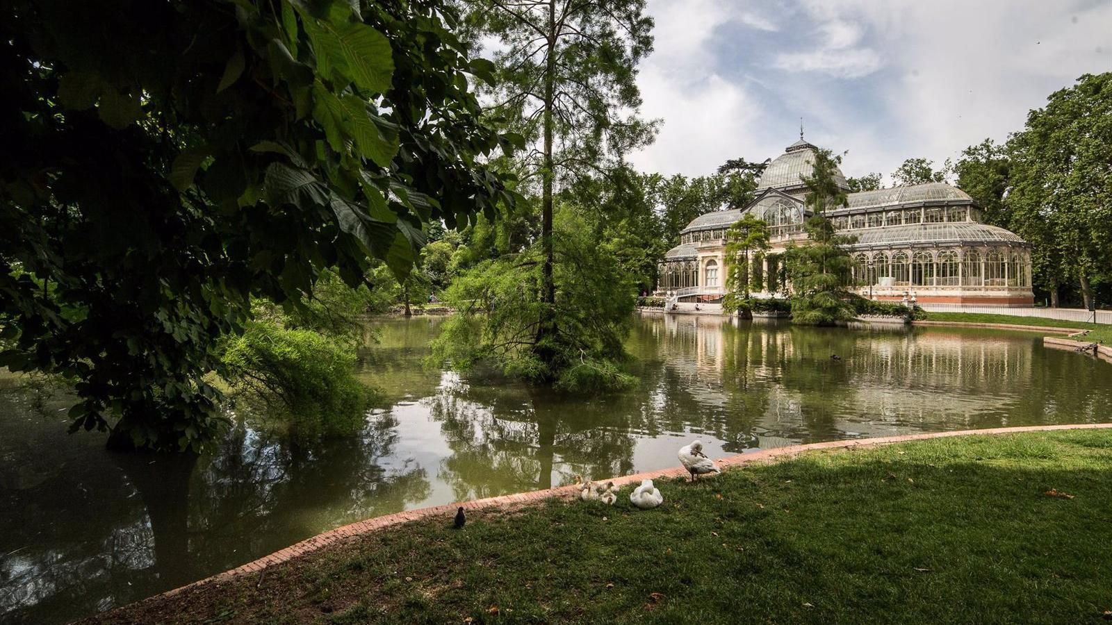 La Comunidad amplía a la capital las medidas de protección por gripe aviar tras detectar un caso en un pavo real del Retiro