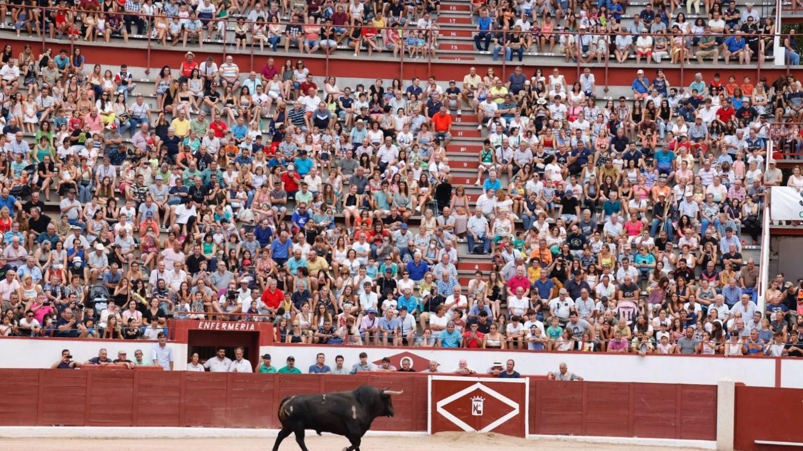 La Feria Taurina de 'Los Remedios' 2023 de Colmenar Viejo desvelará este jueves su cartel