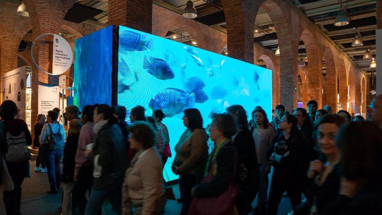 La exposición 'Somos Agua' de Fundación Canal cerró con cerca de 75.000 visitantes y 475.000 visualizaciones online