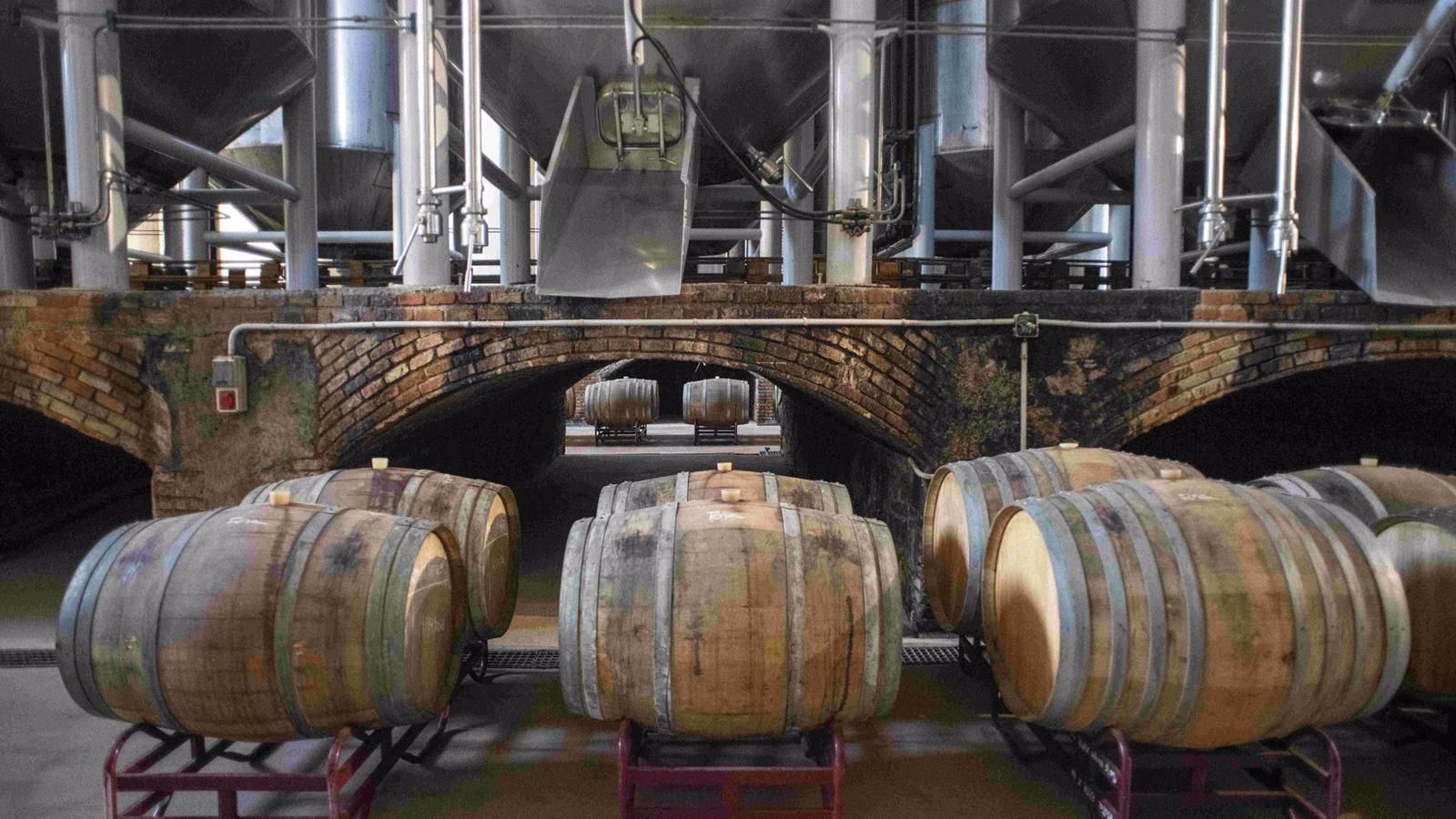 La Comunidad de Madrid busca promocionar el enoturismo y posicionar la región como destino sostenible y cicloturista