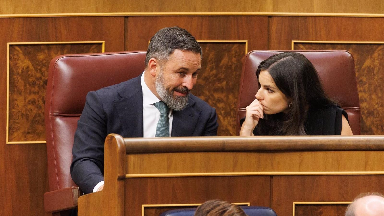 Vox constituye oficialmente su grupo en el Congreso con Abascal como presidente y Pepa Millán como portavoz