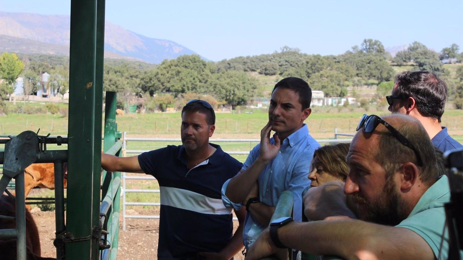 El Grupo Parlamentario Socialista pide habilitar una partida de ayudas para los ganaderos por la enfermedad hemorrágica