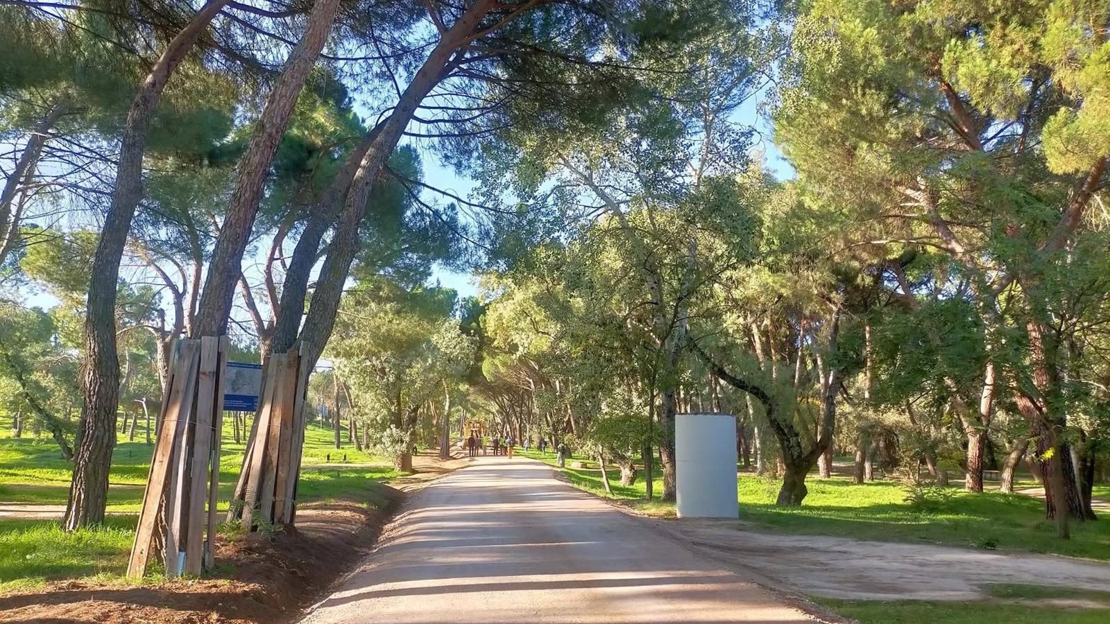 Comienzan las obras para reparar los caminos y viales de la Casa de Campo tras 'Filomena'