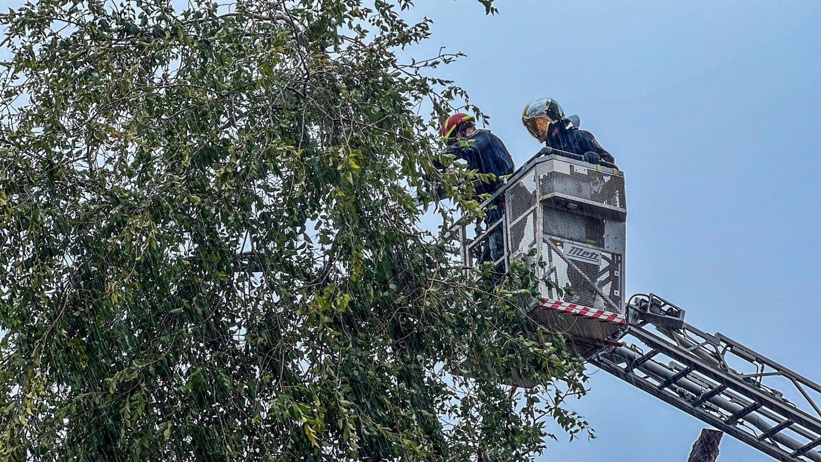 Los Bomberos de la Comunidad y el Ayuntamiento realizaron hasta las 9 horas cerca de 200 intervenciones por el viento