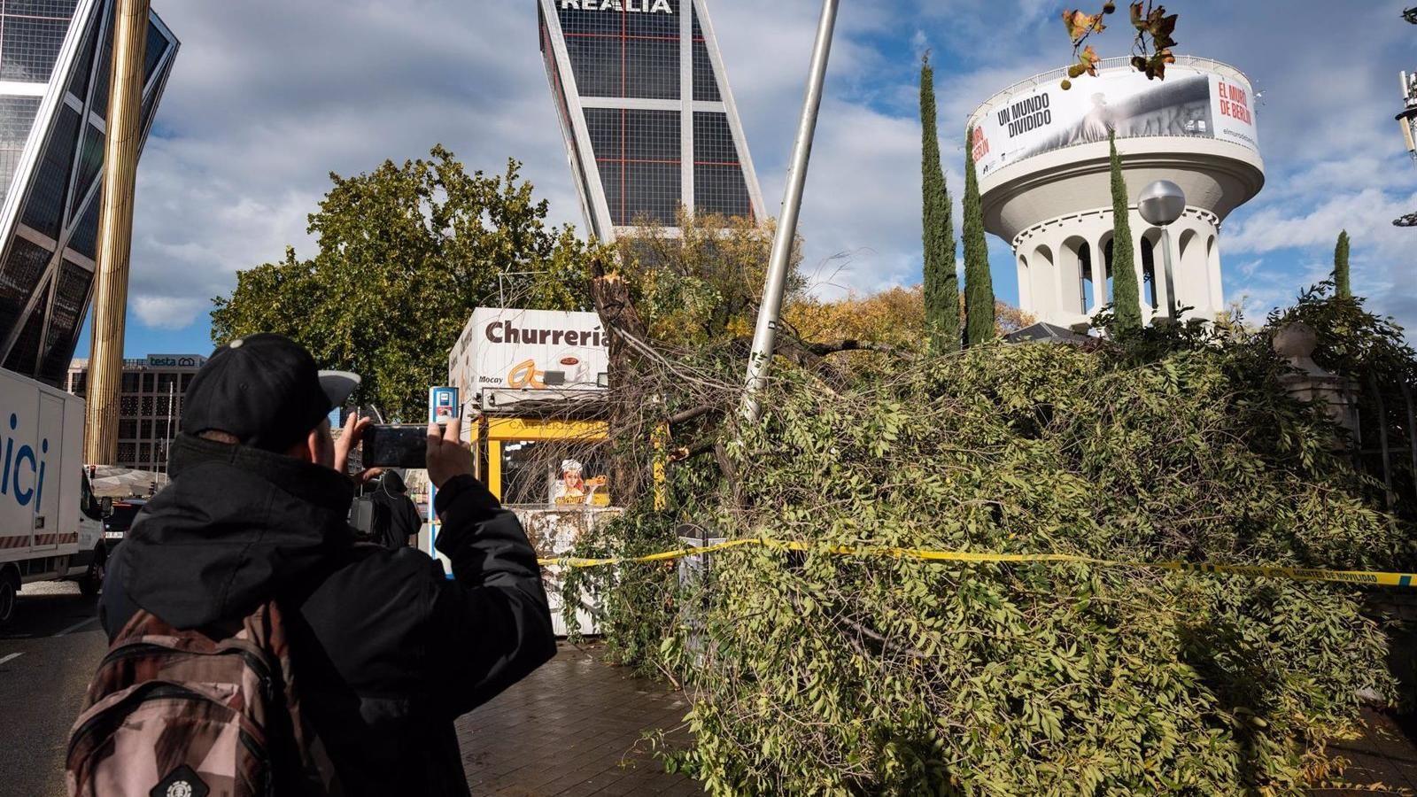 Cerca de 300 árboles afectados y 73 caídos en la ciudad de Madrid por los fuertes vientos