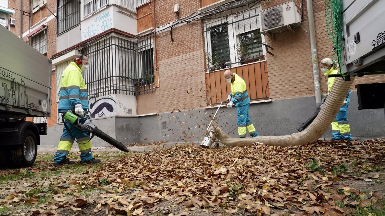 2.265 operarios limpiarán las hojas de la ciudad de Madrid durante el otoño