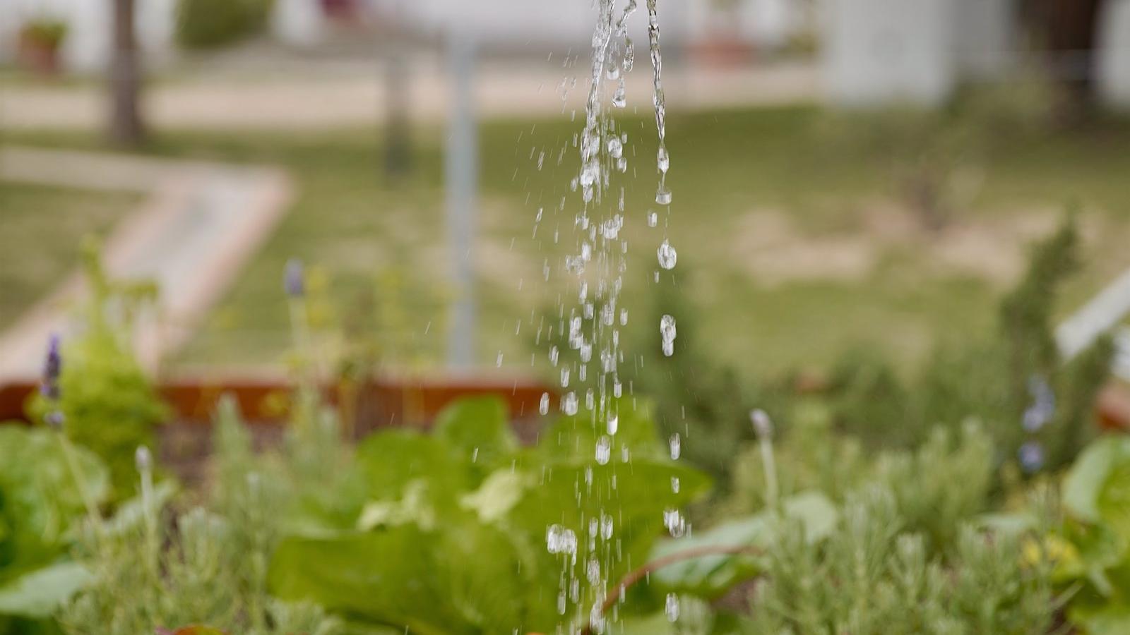 Un huerto robótico permitirá a los escolares de Las Rozas acercarse a la horticultura
