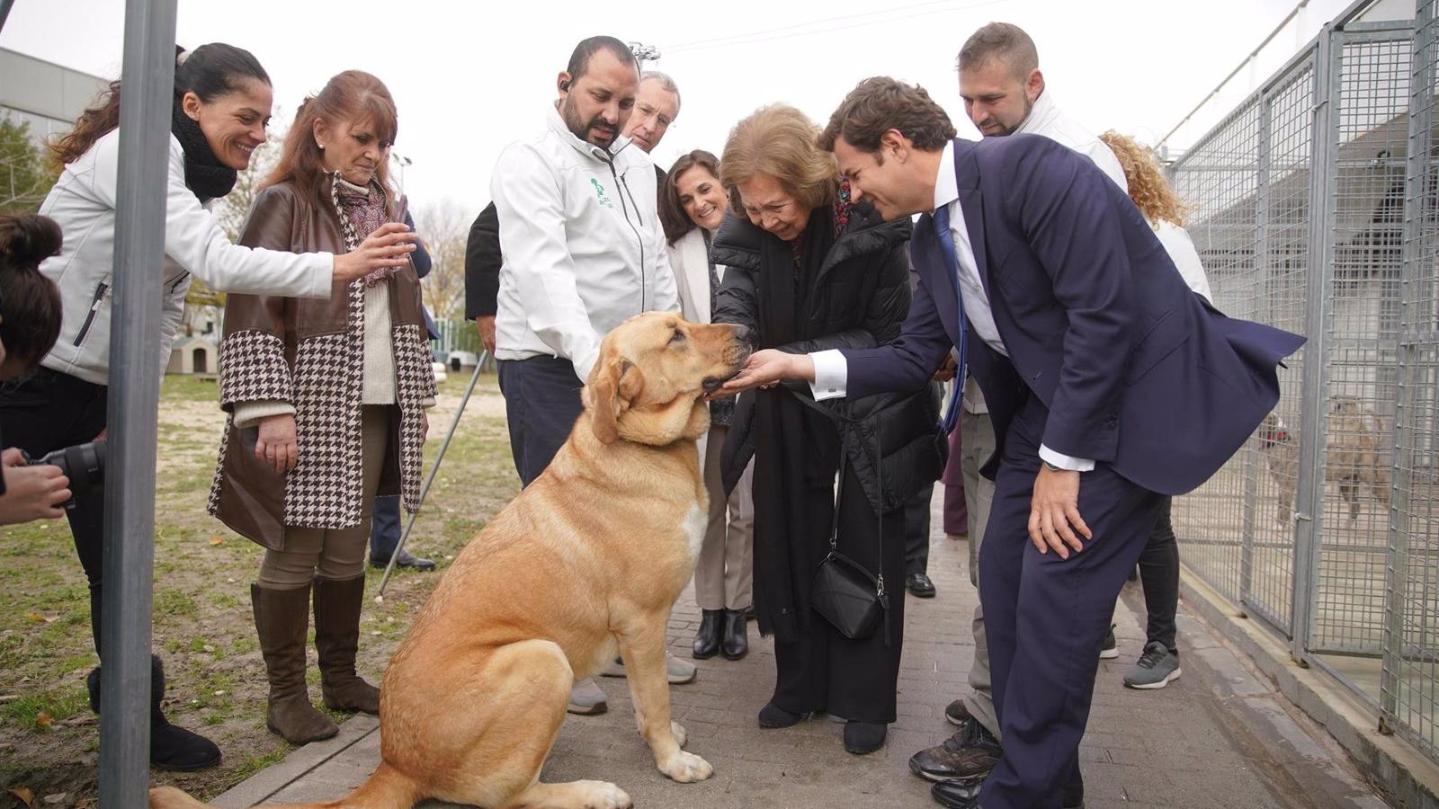 La Reina Doña Sofía visita las instalaciones del Centro Municipal de Protección Animal de Las Rozas