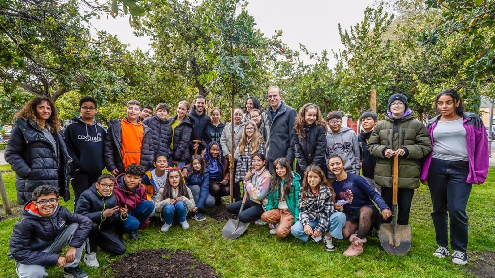 El alcalde de Torrejón planta un nuevo madroño en el Parque Constitución al cumplirse los 45 años de la Carta Magna