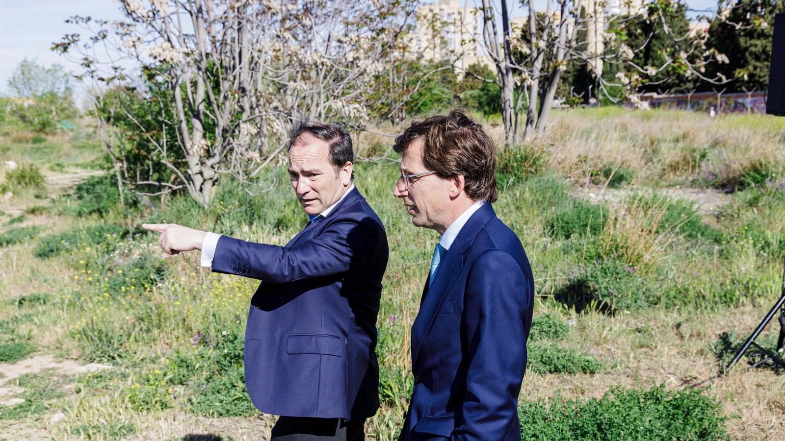 Martínez-Almeida defiende que se ha reducido el arbolado afectado por la ampliación de la L11