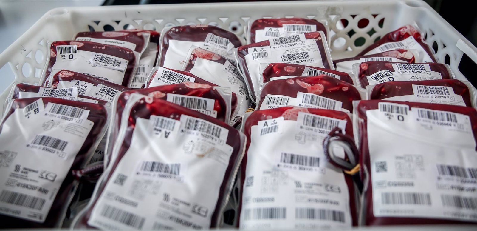 El Centro de Transfusiones llama a la donación urgente de sangre para los grupos '0-', 'B-' y 'AB-'