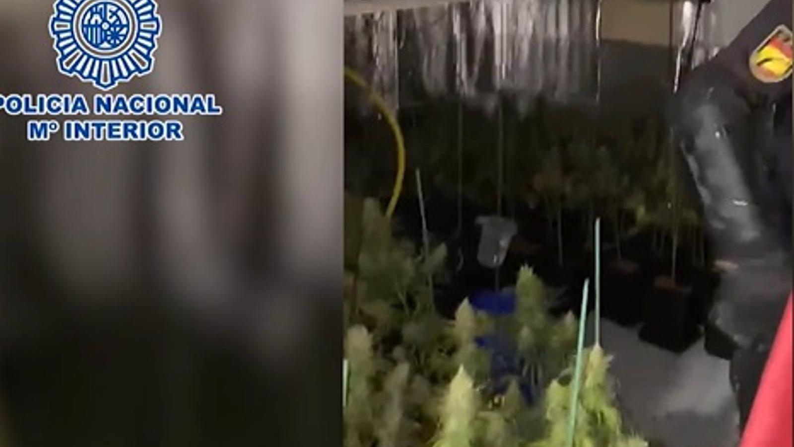  31 detenidos en diez 'narcopisos' desmantelados este año en los distritos Centro, San Blas, Puente y Villa de Vallecas