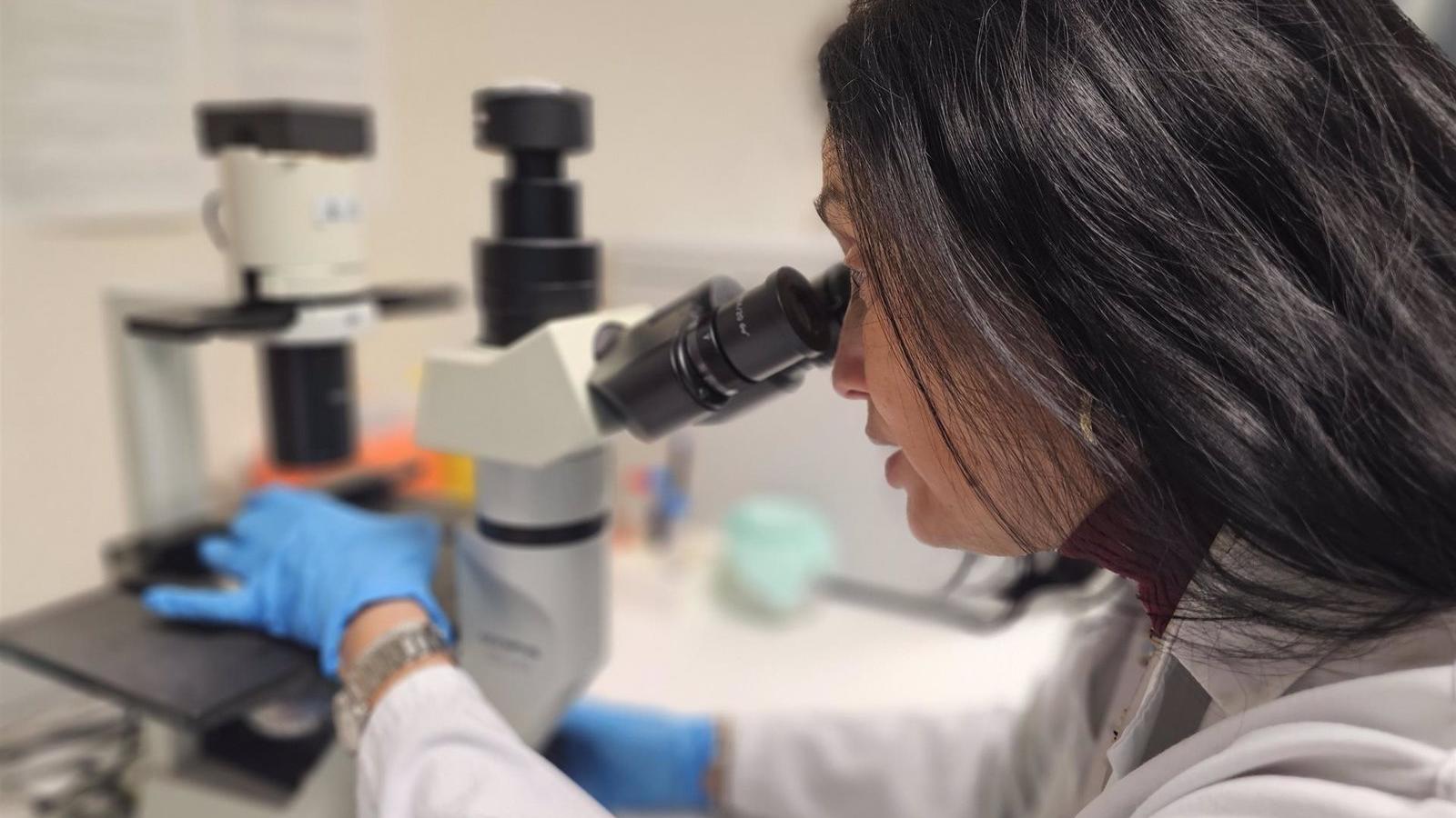 La Comunidad invierte 29 millones en ayudas hasta 2027 para los jóvenes que inician su carrera investigadora
