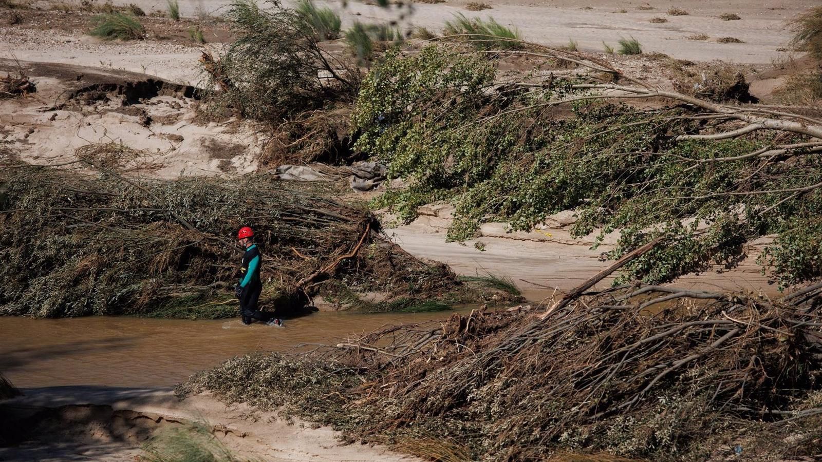 La Comunidad contratará a 62 personas desempleadas para recuperar los daños provocados por la DANA
