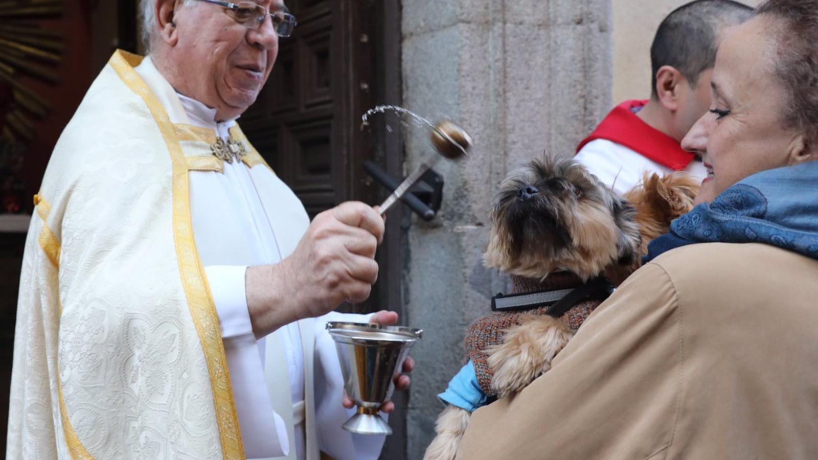 La iglesia de San Antón de Madrid prepara panecillos, bendición y un concierto para celebrar el patrón de los animales
