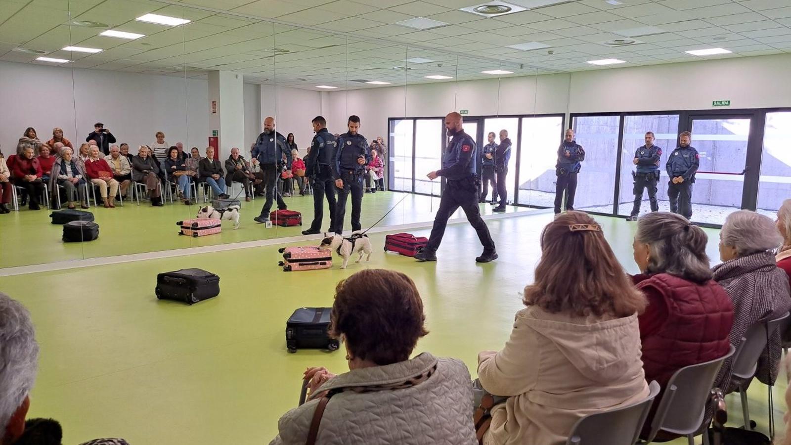 El Ayuntamiento de Madrid abre este año las viviendas para personas sin hogar con mascotas