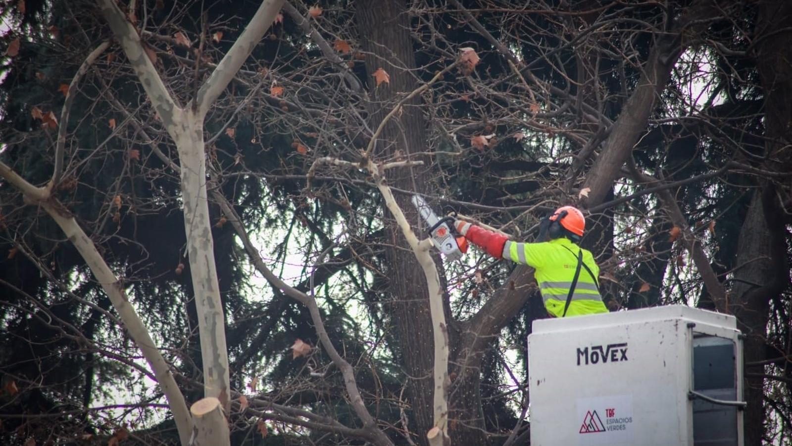 Madrid convocará en febrero el Consejo Cívico y Social del Paisaje de la Luz