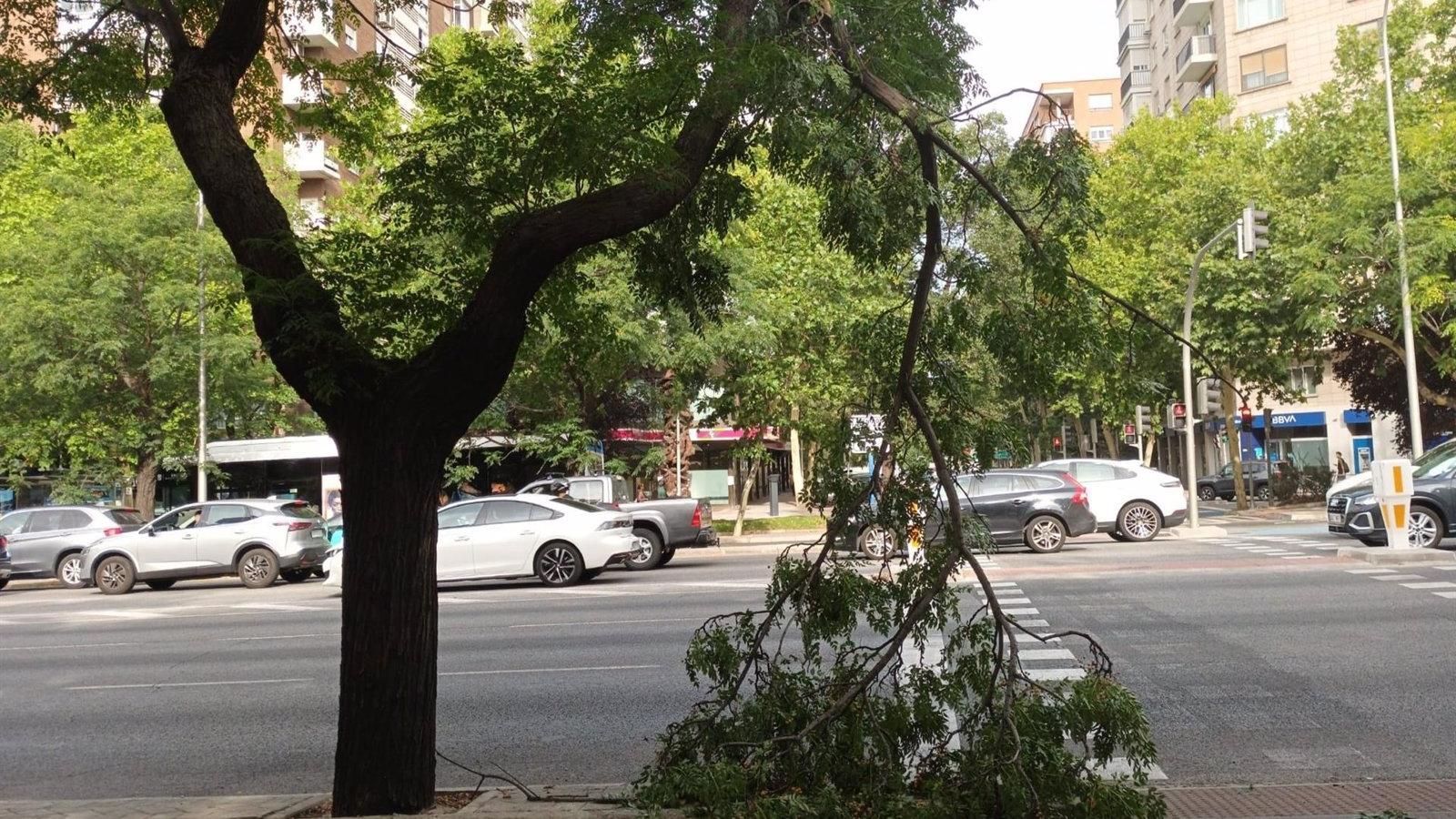  El conductor ebrio de un Ferrari se estrella contra un árbol y una farola en el paseo de la Castellana