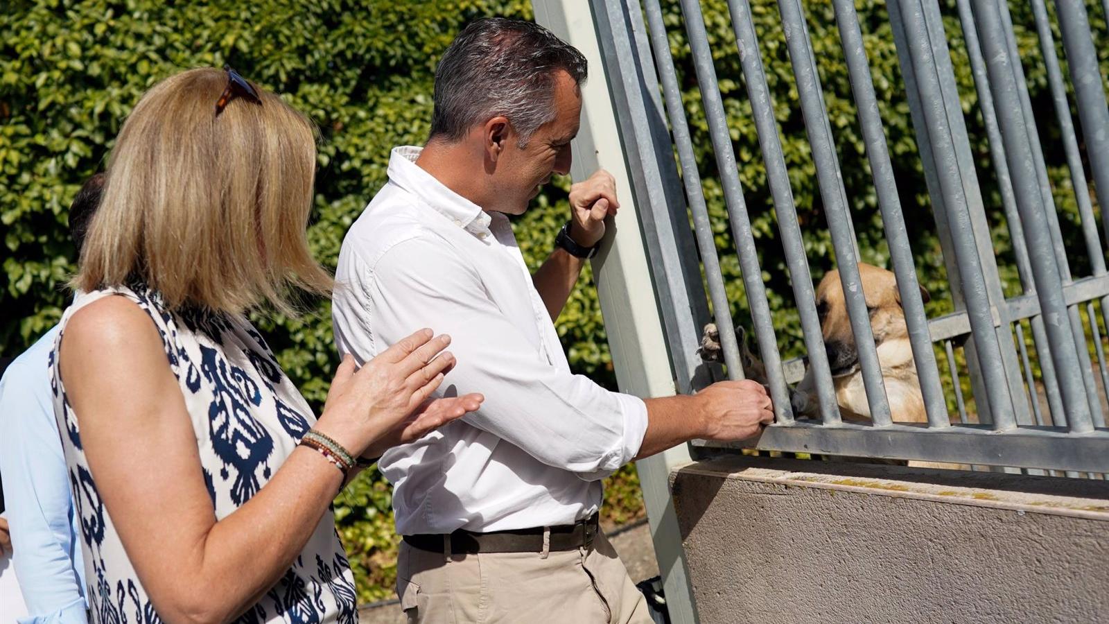 6.212 perros y gatos fueron adoptados en la la Comunidad de Madrid en 2023