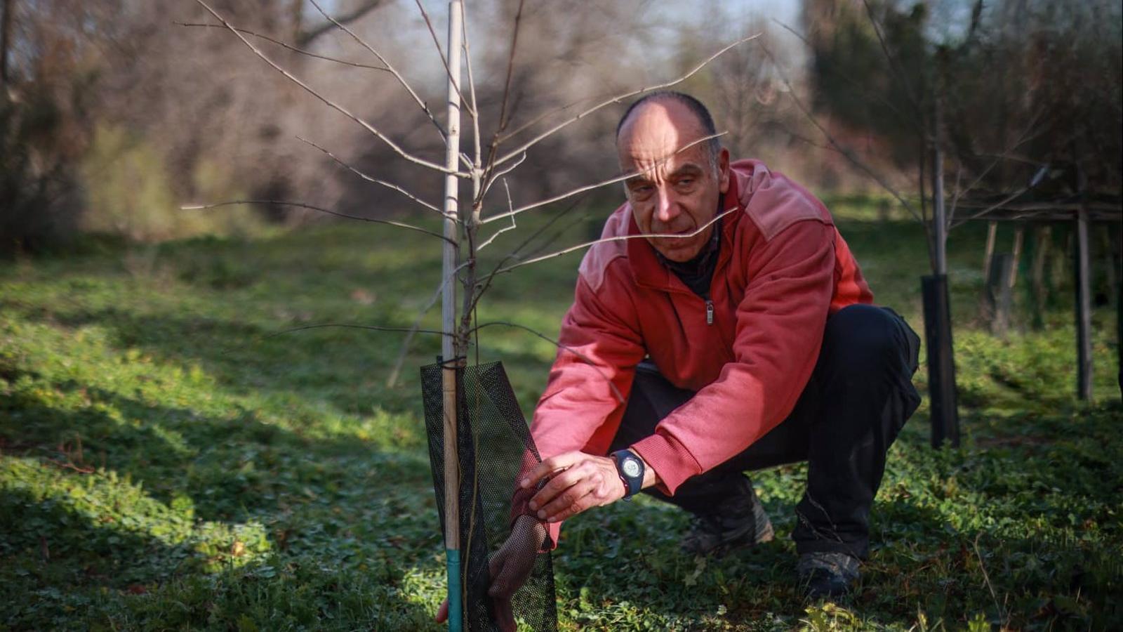 Una plataforma ecológica siembra varias especies de árboles autóctonos en Colonia Jardín para reivindicar su protección