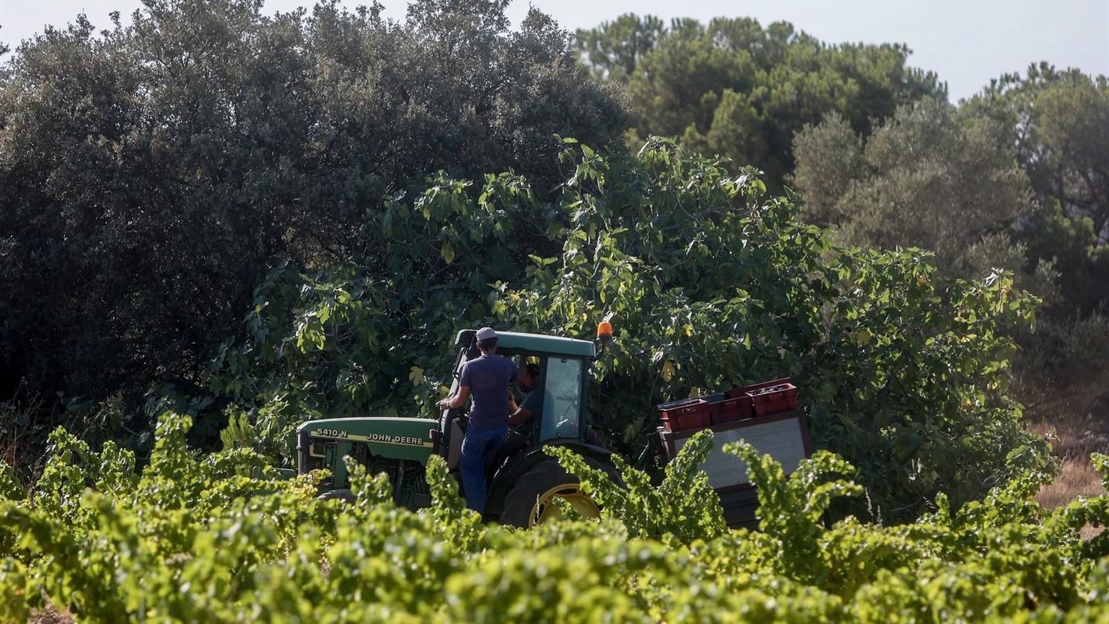 Más de 1.700 agricultores y ganaderos madrileños recibirán ayudas por valor de más de 6 millones ante la sequía