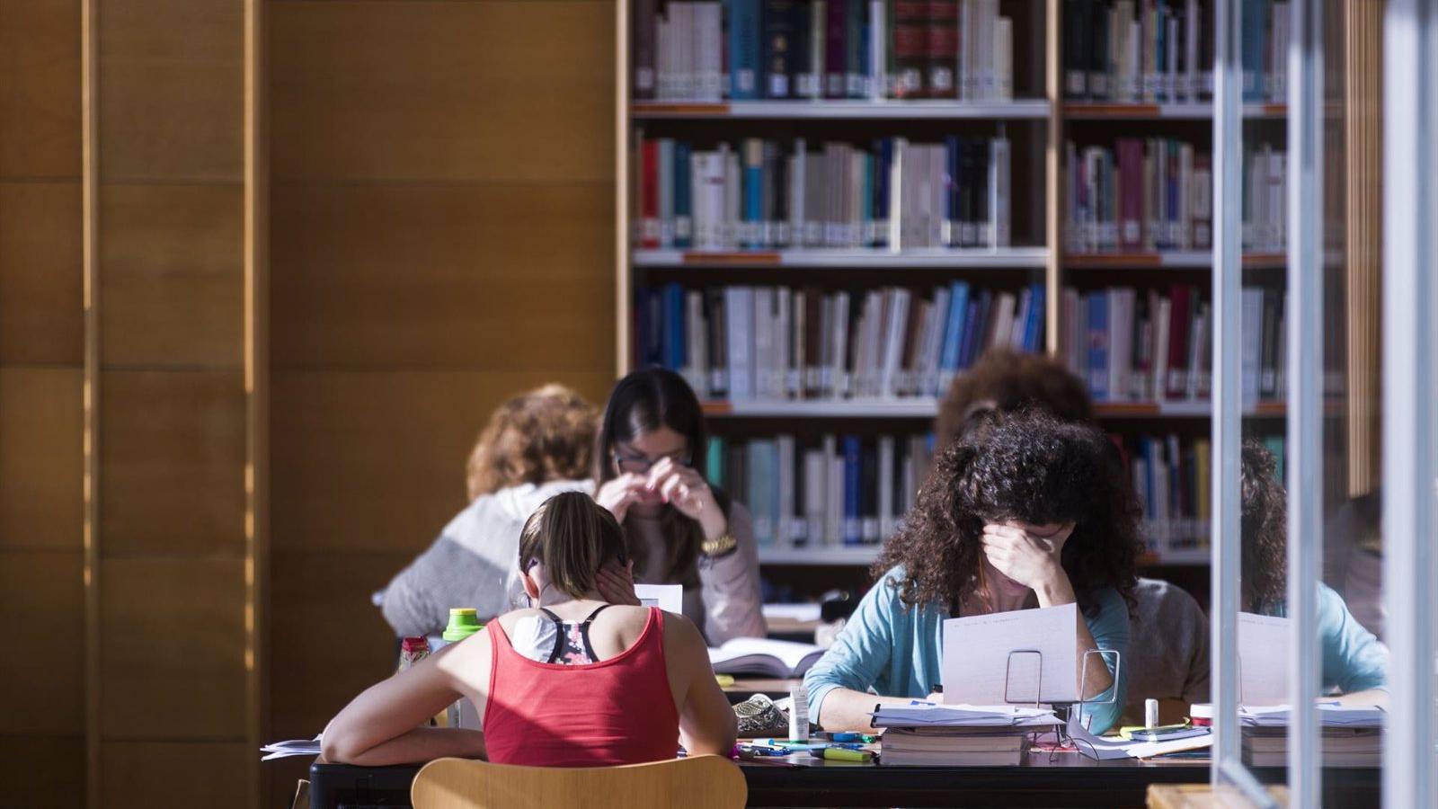 Las tres bibliotecas municipales de Las Rozas atendieron a más de 326.000 usuarios el año pasado