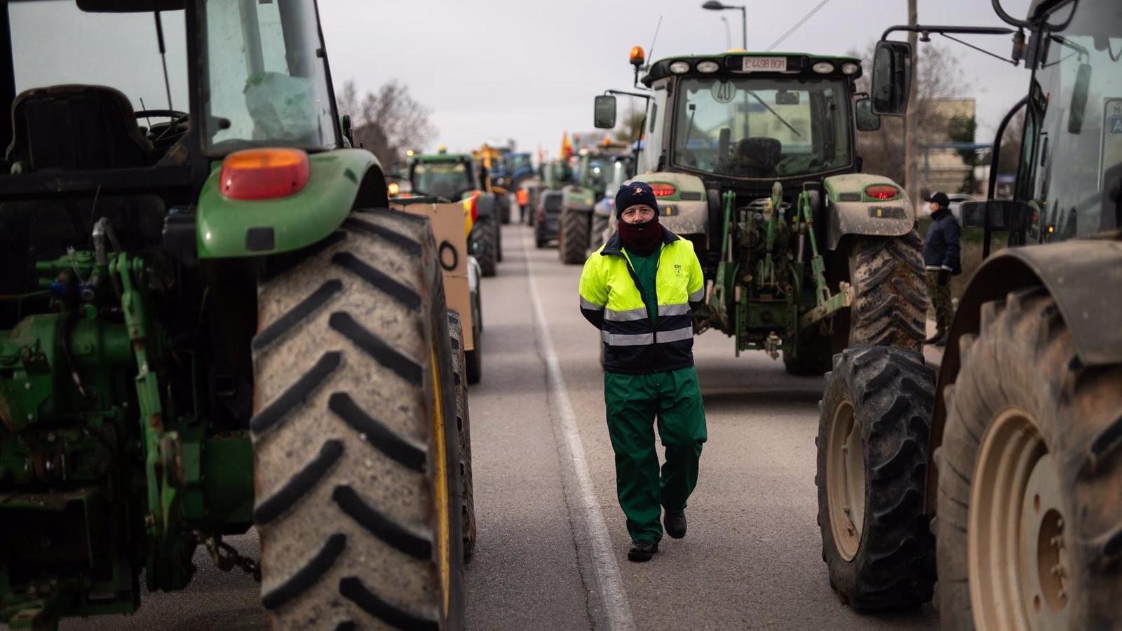 Los consumidores madrileños apoyan las reivindicaciones de agricultores y ganaderos