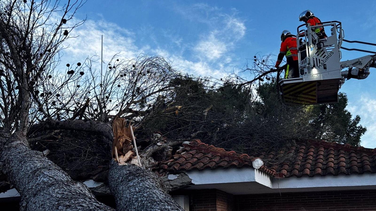  Bomberos de la Comunidad realizan 86 intervenciones por viento, la más grave en Villalbilla por caída de árbol